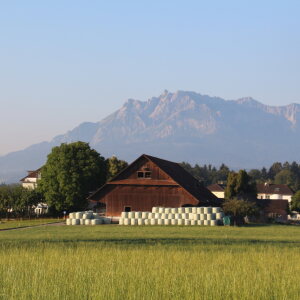 Haus & Hof Hermolingen